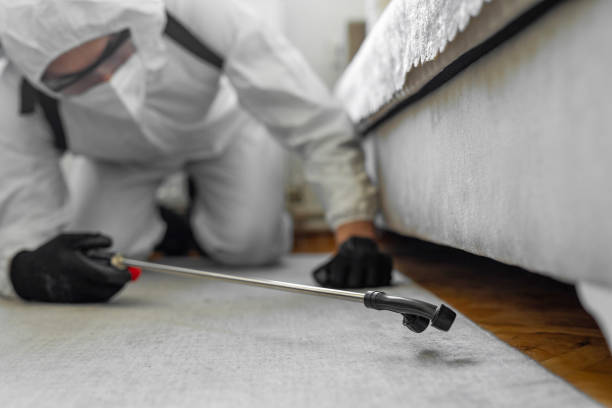 Professional Bed Bug Control technician working in Poolesville, MD