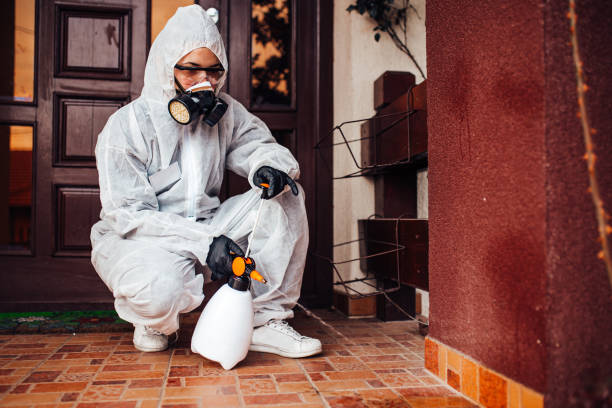 Reliable Bed Bug Control contractor in Poolesville, MD by Nex Pest Control